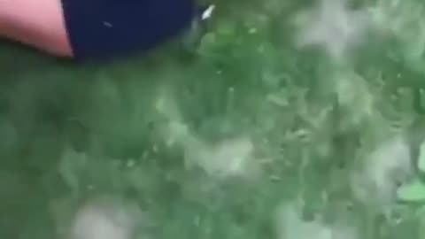Why Butt?