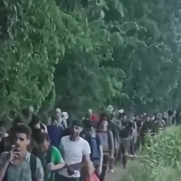 1,072 undocumented men were brought into Dover yesterday in 13 boats