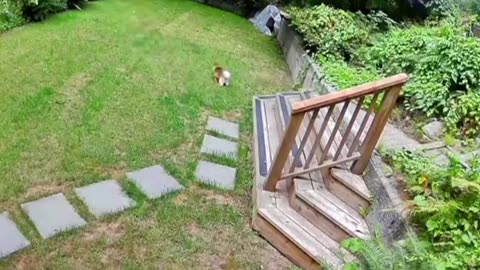 Not in my house you don’t tread 🤣