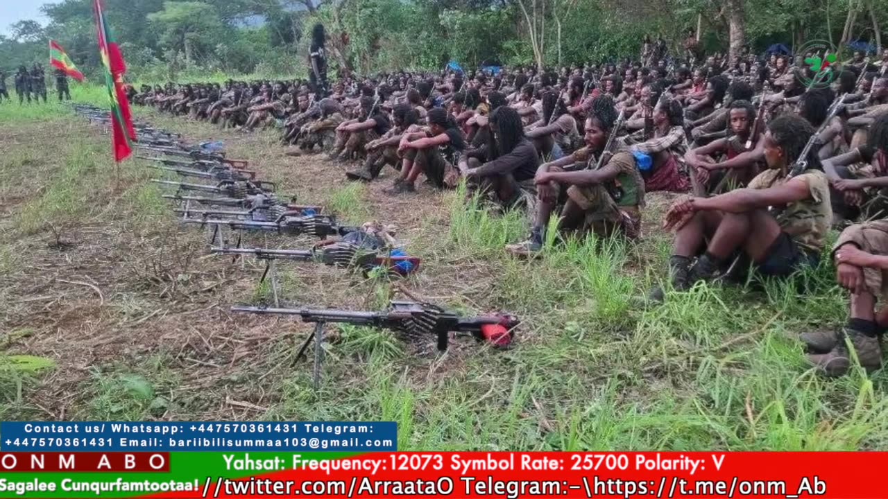 Gabaasa Tarkaanfii ONM-ABO Adoolessa 3-2025 itti dhiyaadhaa!