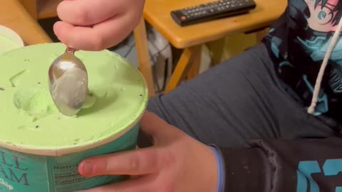 Mint Chocolate Chip ICE Cream