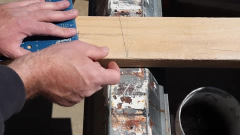 Cutting Birdsmouths & Installing Purlins | Chicken Coop Roof Build