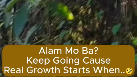 Real Growth Starts