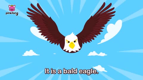 The Super Eagle Contest
