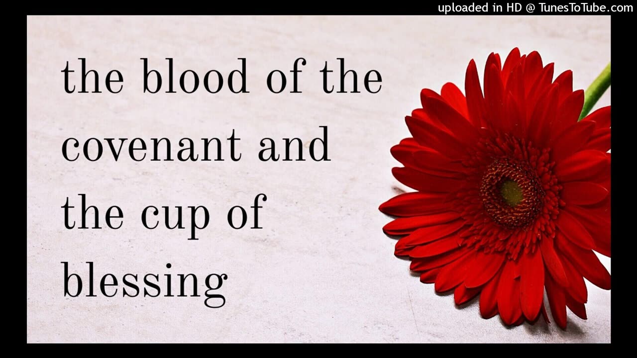 the blood of the covenant and the cup of blessing