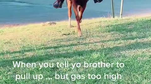 When Gas Prices are too high, he got a horse!!!!