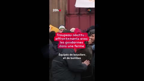 ΑΝΤΙΔΡΑΣΕΙΣ ΣΕ ΘΑΝΑΤΩΣΗ ΖΩΩΝ