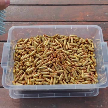 THE CIRCLE OF AMMO LIFE