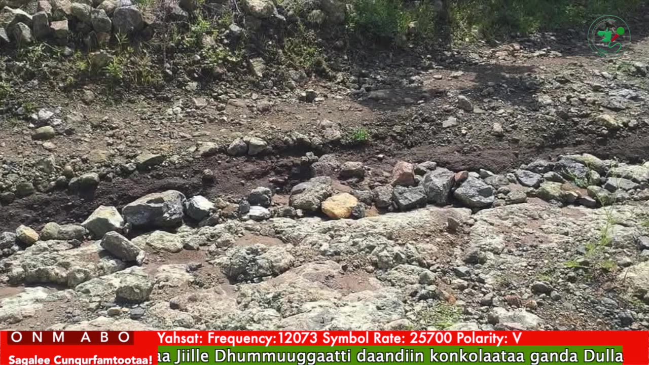 Oduu Galgala ONM-ABO Fulbaana 13-2025 itti dhiyaadhaa!