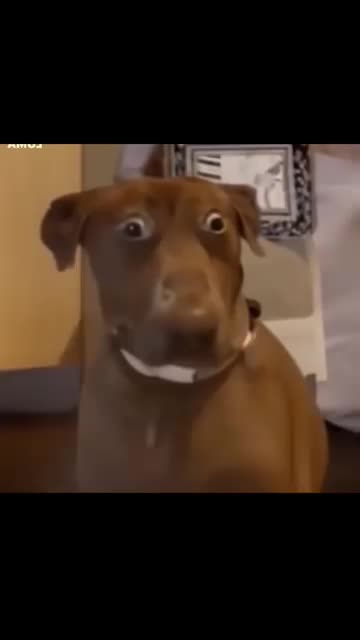 "My life is basically just waiting for the next meal."