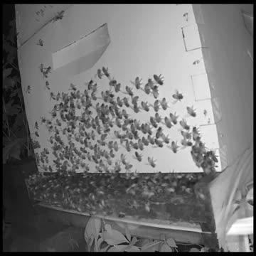 Wednesday Morning Peek