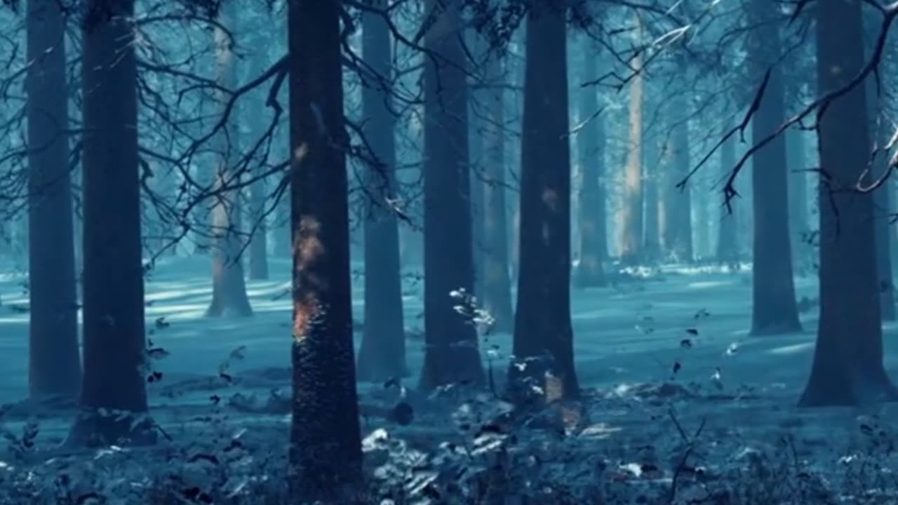 🌳 Trees Talk to Each Other! (The Hidden Network Underground)