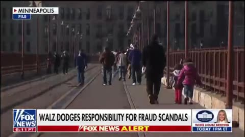 Multiple fraud scandals uncovered in Minnesota