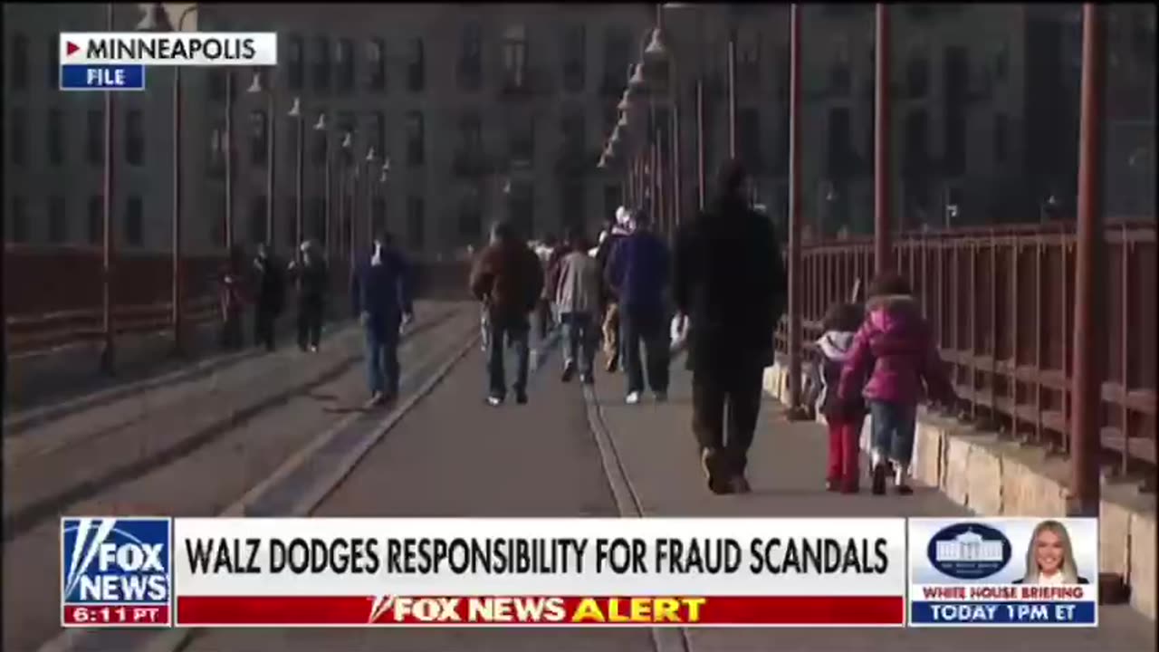 Multiple fraud scandals uncovered in Minnesota