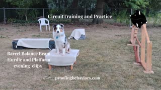 Circuit Training evening clips e