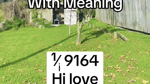 Secret code with meaning ¹⁄ᵢ 9164