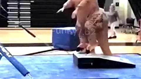 Big fails