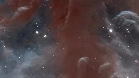NASA vs Amateur Telescope