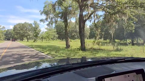 🦊ROAD CLIP🏎 | ENTERING GINNIE SPRINGS