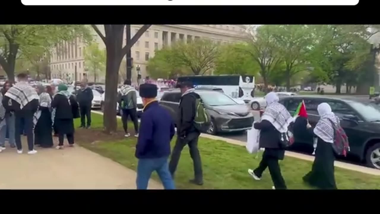 Paid to protest