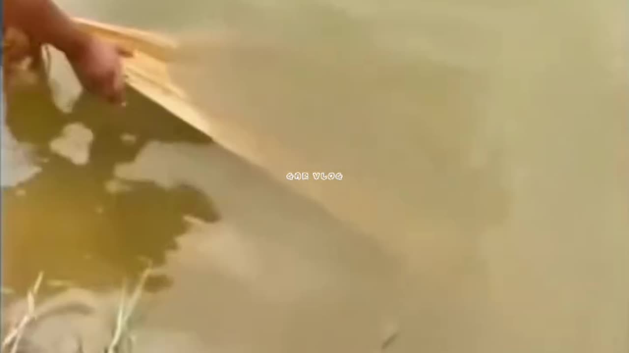 Big catch