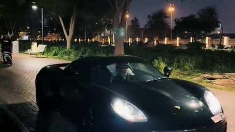 🔥🏁 Hypercar Extravaganza: Bugatti, Lambo & More in Dubai! | LuxurySportsCars