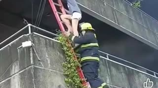 She Saved Her Dogs First ..🔥🦮🦮