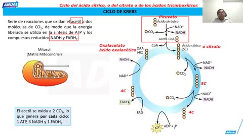 ANUAL ADUNI 2025 | Semana 08 | Geometría S2 | Biología