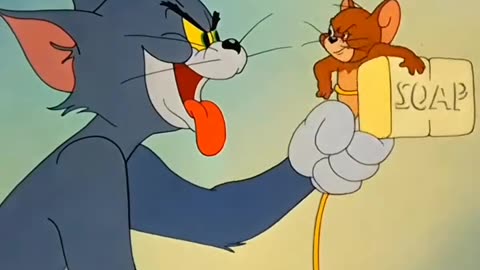 Tom and jarry funny vidieo