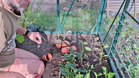 Sweet Peppers and Pop Corn finally move to the Garden