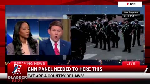 CNN Panel Needed To Here This