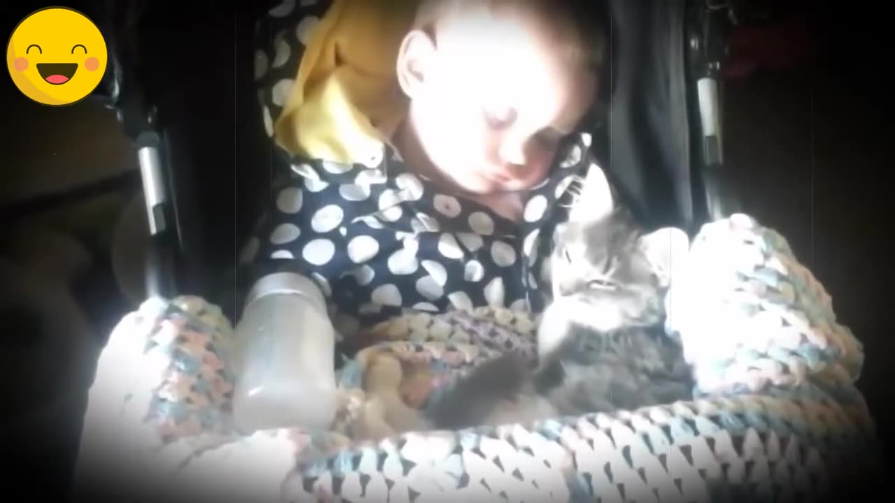 funny video