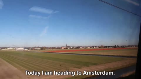 A Perfect Spring Day in Holland 🌸✨ Tulip Fields, Cycling & Picnic