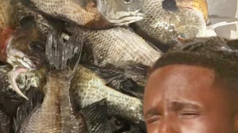 American Idol’s Jamal Roberts Goes Fishing and Hooks a Bream Just Before Rain! - WorldEye