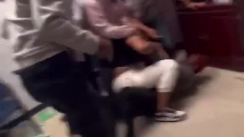 Bonobo BRAWL In School Principal's Office