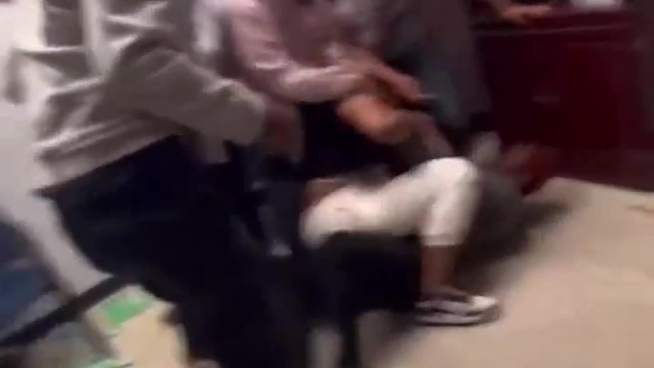 Bonobo BRAWL In School Principal's Office