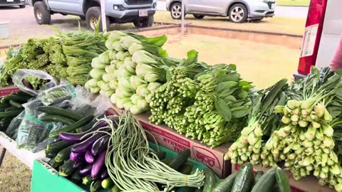 The Fresher The Food The Better Your Mood!