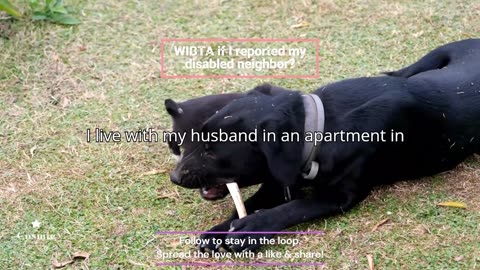 WIBTA if I reported my disabled neighbor?