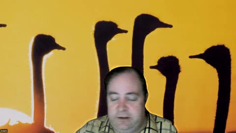 Milt Jackson's Beautiful Sunflower