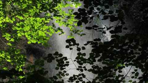 🌧️🌧️🌧️ I LOVE RAIN 🌧🌧🌧