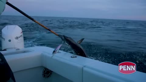 Searching for Massive Wahoo in Texas_part5