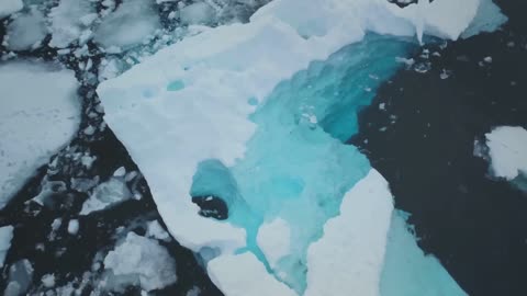 TRUMP is SHOCKED as GREENLAND SNUBS the US and STRIKES DEALS with CANADA: What's Next?