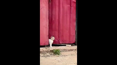 रुक जा पापा को बताता हु