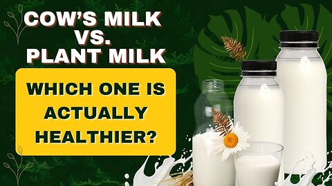 Cow’s Milk vs. Plant Milk—The Healthiest Choice Revealed!