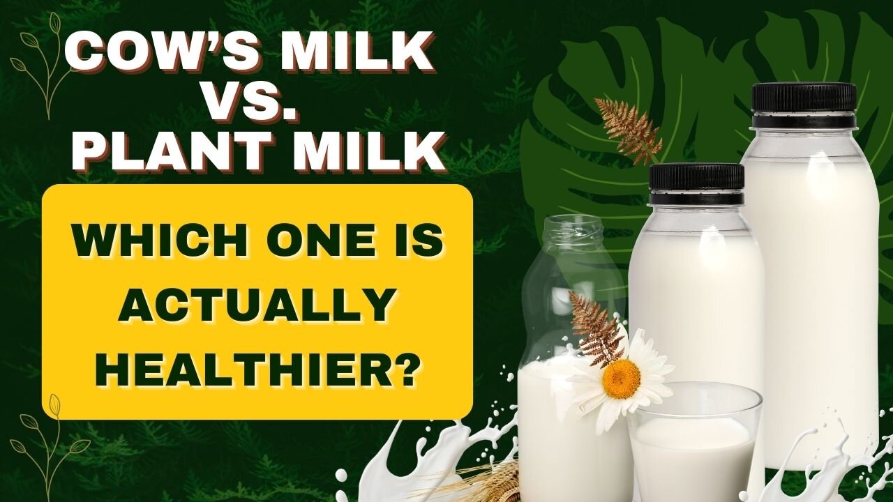 Cow’s Milk vs. Plant Milk—The Healthiest Choice Revealed!