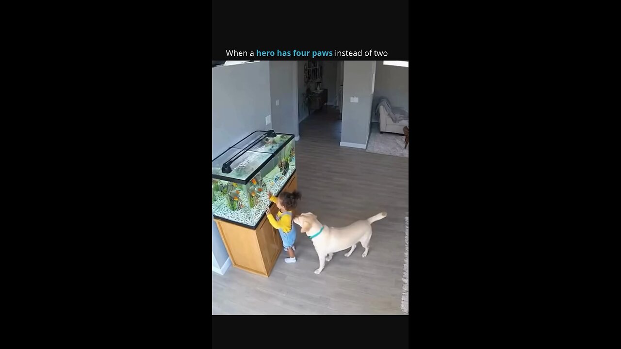 #shorts #ai #funny #viral #2025