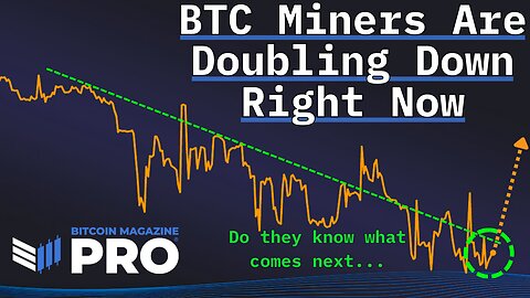 Why Bitcoin Miners Are Doubling Down Right Now