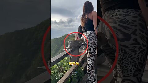 Animals Funny Compilation #funnyanimals #animals #pets #shorts