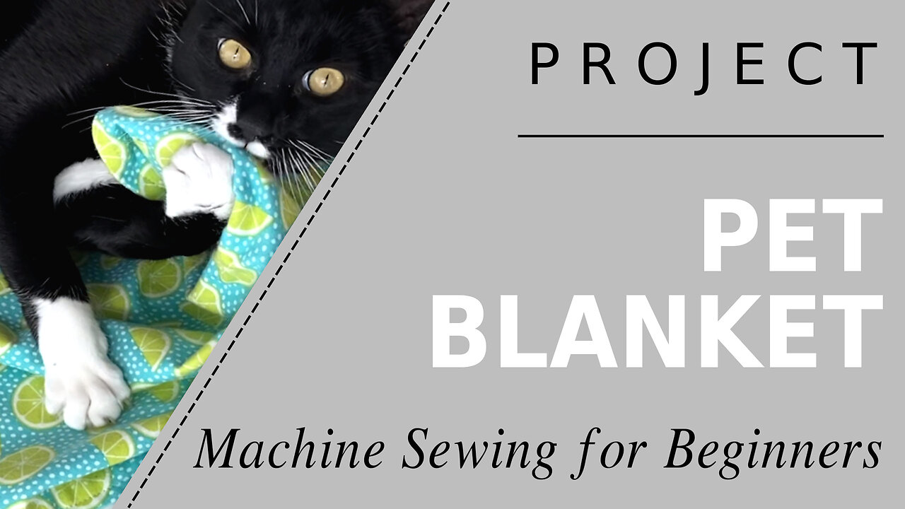 Sewing Service Project: Pet Blanket - Step by Step Project for Animal Shelter