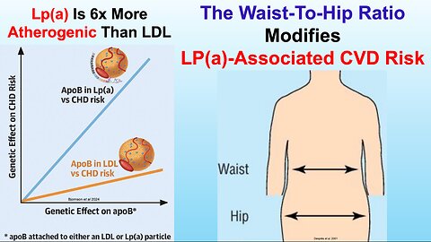 The Waist-To-Hip RatioModifies LP(a)-Associated CVD Risk
